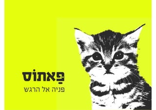 להציג אפיון ועיצוב ללקוחות
