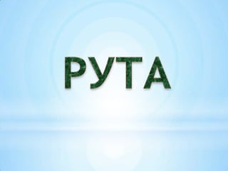 тренажер з читання