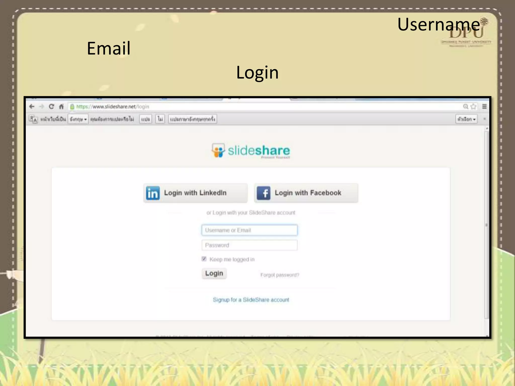 Username
Email
Login