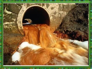 екологічна ситуація в україні