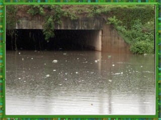 екологічна ситуація в україні