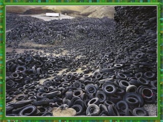 екологічна ситуація в україні