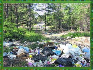 екологічна ситуація в україні