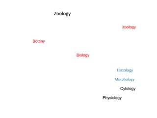 Zoology
zoology
Botany
Histology
Morphology
Cytology
Physiology
Biology
 