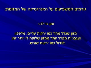 ‫גורמים המשפיעים על האנרגטיקה של המזונות:‬
‫זמן גדילה-‬
‫מזון שגדל מהר כמו ירקות עליים, מלפפון‬
‫ועגבנייה מקרר יותר ממזון שלוקח לו יותר זמן‬
‫לגדול כמו ירקות שורש.‬

 