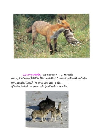 2.3 Competition : - ,-)
, ,
 
