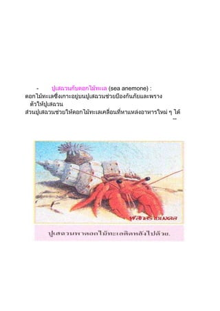 -
--
sea anemone) :
 