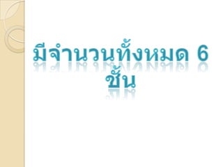ร้านขายผู้หญิง