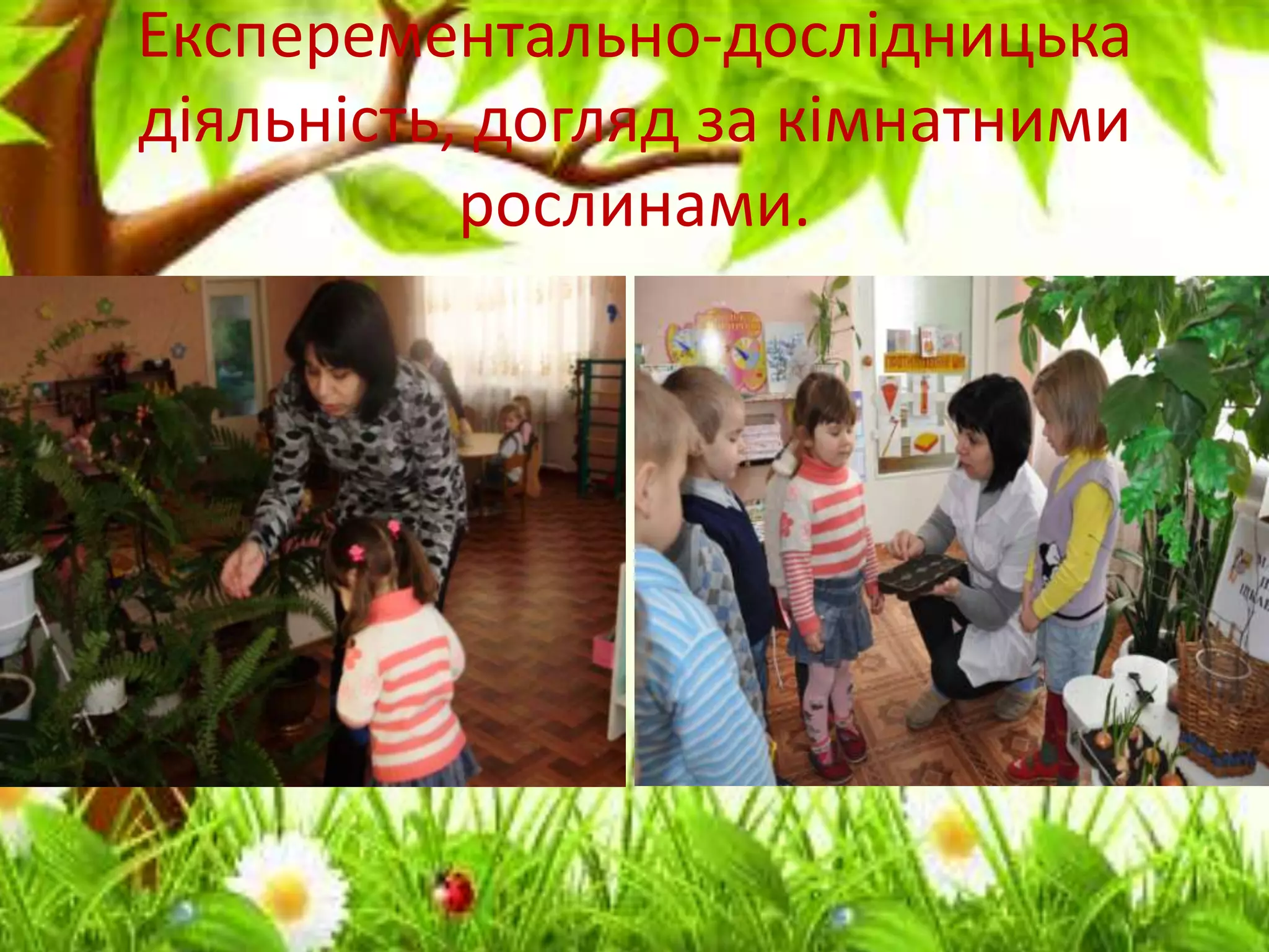 Експерементально-дослідницька
діяльність, догляд за кімнатними
рослинами.
 