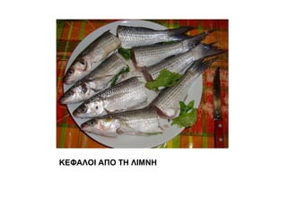 ΚΕΦΑΛΟΙ ΑΠΟ ΤΗ ΙΜΝΗ
 