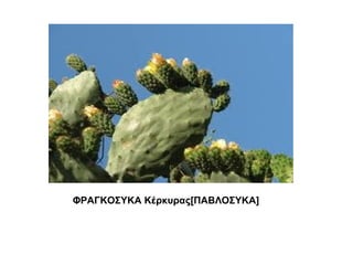 ΦΡΑΓΚΟΣΥΚΑ Κέρκυρας[ΠΑΒΛΟΣΥΚΑ]
 