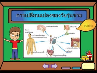 Interactive Powerpoints : Porntita angkinunt
