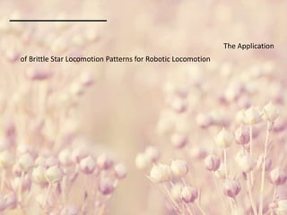 The Application
of Brittle Star Locomotion Patterns for Robotic Locomotion
 