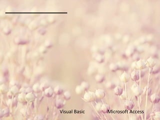 Visual Basic Microsoft Access
 
