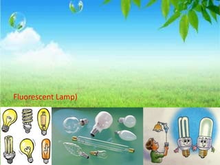 Fluorescent Lamp)
 