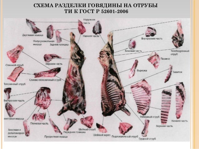 гост разделка говядины на отрубы Гост р 52601-2006 мясо. Разделка говядины на отрубы. Технические.