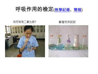 呼吸作用的檢定(教學紀錄、簡報)
 