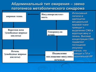 Висцеральная
жировая ткань
Воротная вена
↑(свободные жирные
кислоты)
Печень
↑(свободные жирные
кислоты)
Инсулинорезистент-
ность
Гиперинсули-
немия
Подавление
поглощение инсулина
печенью
Абдоминальный тип ожирения – звено
патогенеза метаболического синдрома
Интенсивный
липолиз в
адипоцитах
висцеральной
жировой ткани
приводит к
выделению СЖК в
воротную вену и
печень. Высокие
концентрации СЖК
подавляют
поглощение
инсулина
печенью, что
приводит к ГИ и
относительной ИР
 