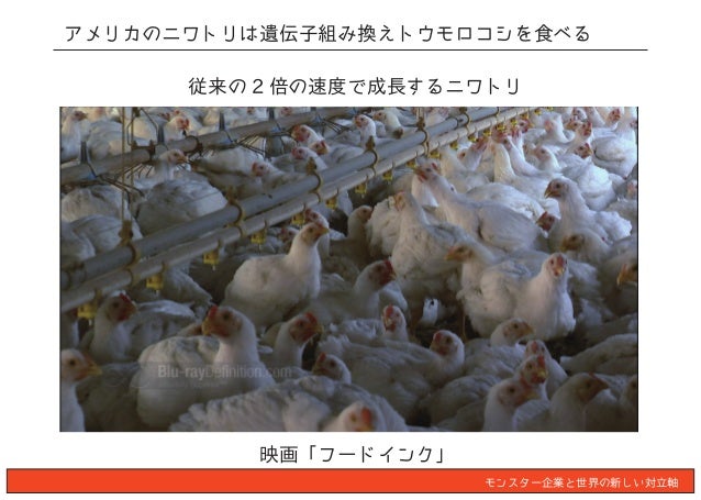 遺伝子組み換え作物