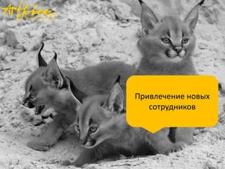 Привлечение новых
сотрудников
 