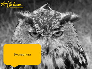 Экспертиза
 