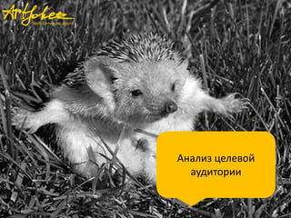 Анализ целевой
аудитории
 
