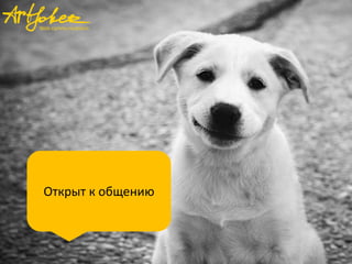 Открыт к общению
 