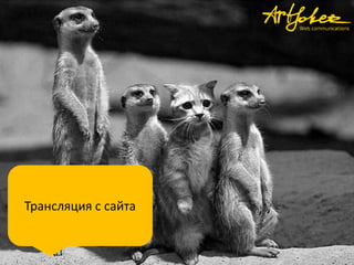 Трансляция с сайта
 