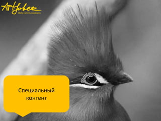Специальный
контент
 