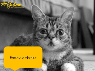 Немного «фана»
 