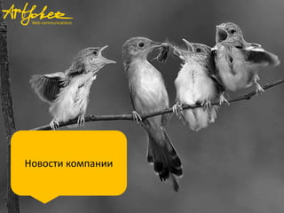 Новости компании
 