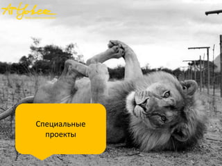 Специальные
проекты
 