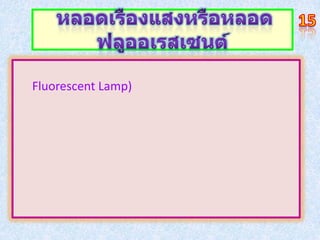 Fluorescent Lamp)
 