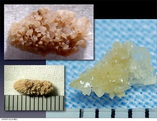 13年8月14日水曜日
 