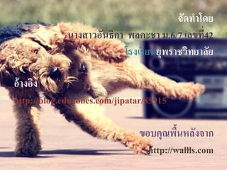 จัดทําโดย
นางสาวอันธิกา พลคะชา ม.6/7 เลขที่42
โรงเรียนยุพราชวิทยาลัย
อ้างอิง
http://blog.eduzones.com/jipatar/85915
ขอบคุณพื้นหลังจาก
http://wallls.com
 