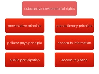 preventative principle precautionary principle
polluter pays principle access to information
public participation access to justice
substantive environmental rights
 