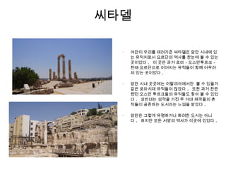 씨타델
•
야잔이 우리를 데려가준 씨타델은 암만 시내에 있
는 유적지로서 요르단의 역사를 한눈에 볼 수 있는
곳이었다 . 이 곳은 과거 로마 - 오스만투르크 -
현재 요르단으로 이어지는 유적들이 함께 어우러
져 있는 곳이었다 .
•
암만 시내 곳곳에는 이탈리아에서만 볼 수 있을거
같은 로마시대 유적들이 많았다 . 또한 과거 찬란
했던 오스만 투르크들의 유적들도 찾아 볼 수 있었
다 . 상반대는 성격을 가진 두 거대 제국들의 흔
적들이 공존하는 도시라는 느낌을 받았다 .
•
암만은 그렇게 유명하거나 화려한 도시는 아니
다 . 하지만 모든 서양의 역사가 이곳에 있었다 .
 