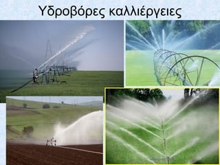 Υδροβόρες καλλιέργειες
 
