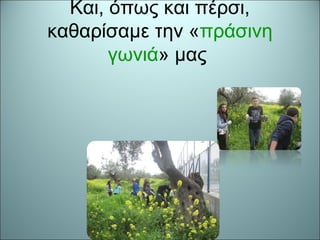 Και, όπως και πέρσι,
καθαρίσαμε την «πράσινη
γωνιά» μας
 