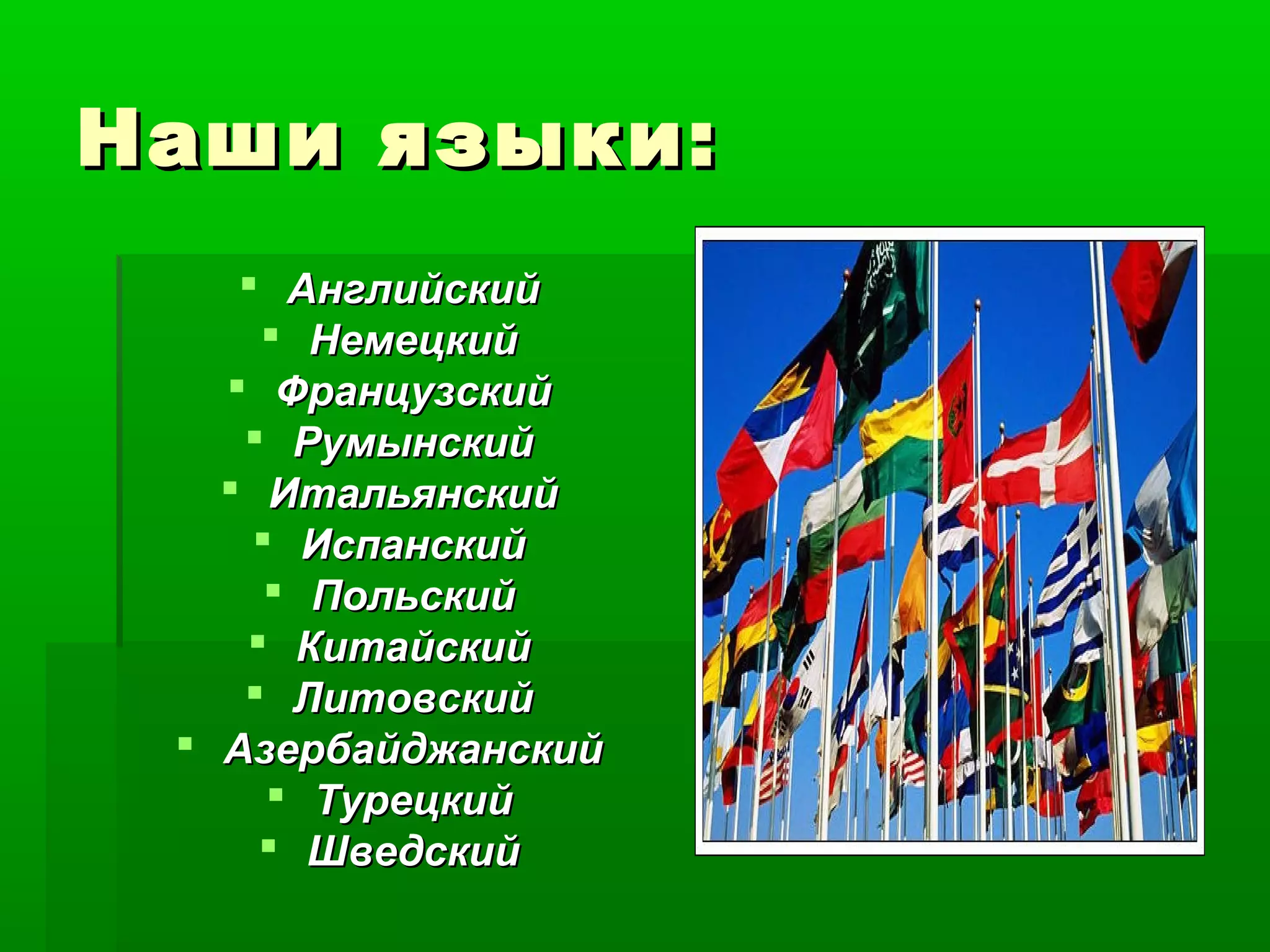 Наши языки:Наши языки:
 АнглийскийАнглийский
 НемецкийНемецкий
 ФранцузскийФранцузский
 РумынскийРумынский
 ИтальянскийИтальянский
 ИспанскийИспанский
 ПольскийПольский
 КитайскийКитайский
 ЛитовскийЛитовский
 АзербайджанскийАзербайджанский
 ТурецкийТурецкий
 ШведскийШведский
 