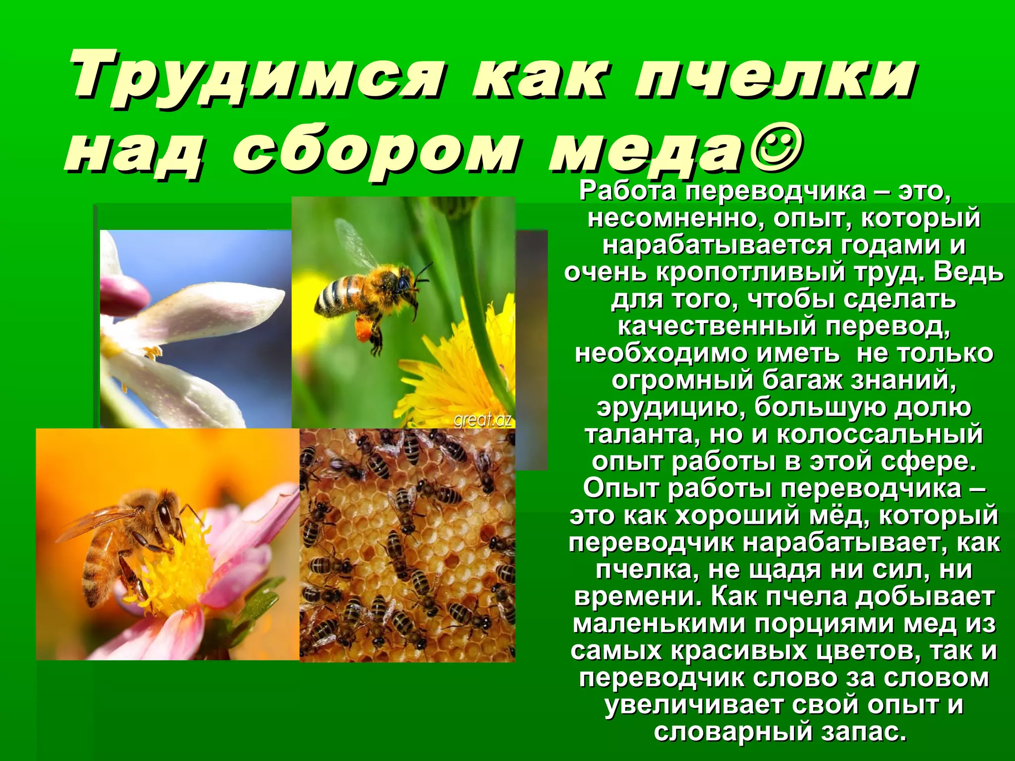 Трудимся как пчелкиТрудимся как пчелки
над сбором меданад сбором медаРабота переводчика – это,Работа переводчика – это,
несомненно, опыт, которыйнесомненно, опыт, который
нарабатывается годами инарабатывается годами и
очень кропотливый труд. Ведьочень кропотливый труд. Ведь
для того, чтобы сделатьдля того, чтобы сделать
качественный перевод,качественный перевод,
необходимо иметь не тольконеобходимо иметь не только
огромный багаж знаний,огромный багаж знаний,
эрудицию, большую долюэрудицию, большую долю
таланта, но и колоссальныйталанта, но и колоссальный
опыт работы в этой сфере.опыт работы в этой сфере.
Опыт работы переводчика –Опыт работы переводчика –
это как хороший мёд, которыйэто как хороший мёд, который
переводчик нарабатывает, какпереводчик нарабатывает, как
пчелка, не щадя ни сил, нипчелка, не щадя ни сил, ни
времени. Как пчела добываетвремени. Как пчела добывает
маленькими порциями мед измаленькими порциями мед из
самых красивых цветов, так исамых красивых цветов, так и
переводчик слово за словомпереводчик слово за словом
увеличивает свой опыт иувеличивает свой опыт и
словарный запас.словарный запас.
 