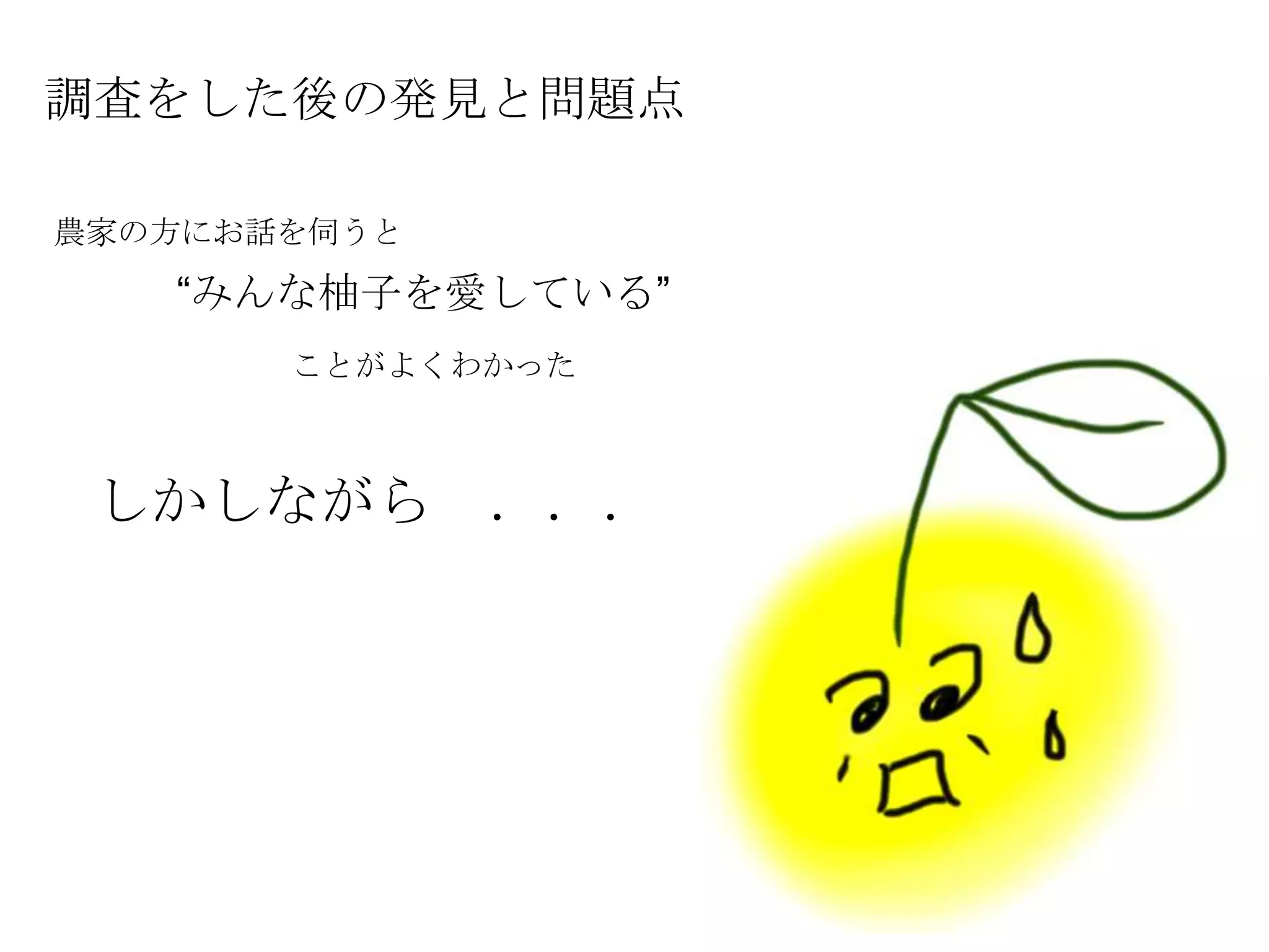 調査をした後の発見と問題点
農家の方にお話を伺うと
“みんな柚子を愛している”
ことがよくわかった
しかしながら ．．．
 