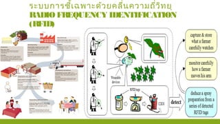 ระบบการชี้เฉพาะด้วยคลื่นความถี่วิทยุ
RADIO FREQUENCY IDENTIFICATION
(RFID)
 