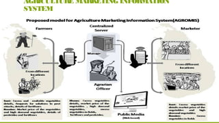 AGRICULTURE MARKETING INFORMATION
SYSTEM
 