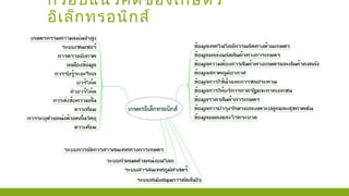 กรอบแนวคิดของเกษตร
อิเล็กทรอนิกส์
 