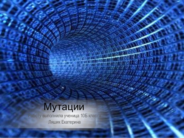 Язык