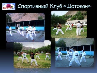 Спортивный Клуб «Шотокан»
 