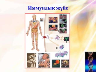 Иммундық жүйе
 