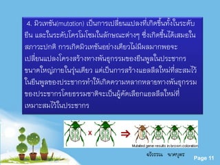 Powerpoint Templates
Page 11
4. มิวเทชัน(mutation) เป็นการเปลี่ยนแปลงที่เกิดขึ้นทั้งในระดับ
ยีน และในระดับโครโมโซมในลักษณะต่างๆ ซึ่งเกิดขึ้นได้เสมอใน
สภาวะปกติ การเกิดมิวเทชันอย่างเดียวไม่มีผลมากพอจะ
เปลี่ยนแปลงโครงสร้างทางพันธุกรรมของยีนพูลในประชากร
ขนาดใหญ่ภายในรุ่นเดียว แต่เป็นการสร้างแอลลีลใหม่ที่สะสมไว้
ในยีนพูลของประชากรทาให้เกิดความหลากหลายทางพันธุกรรม
ของประชากรโดยธรรมชาติจะเป็นผู้คัดเลือกแอลลีลใหม่ที่
เหมาะสมไว้ในประชากร
ฉวีวรรณ นาคบุตร
 
