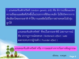 Powerpoint Templates
Page 5
1. แรนดอมจีเนติกดริฟท์ (random genetic drift) คือ มีการเปลี่ยนแปลง
ความถี่ของแอลลีลที่เกิดขึ้นในประชากรที่มีขนาดเล็ก ไม่ได้เกิดจากการ
คัดเลือกโดยธรรมชาติ ทาให้บางแอลลีลไม่มีโอกาสถ่ายทอดไปยังรุ่น
ลูกได้
แรนดอมจีเนติกดริฟท์ ที่พบในธรรมชาติมี 2สถานการณ์
คือ ปรากฏการณ์คอขวด ( Bottleneck effect ) และ
ผลกระทบจากผู้ก่อตัว ( Founder effect )
แรนดอมจีเนติกดริฟท์ หรือ การลอยห่างจากกันทางพันธุกรรม
ฉวีวรรณ นาคบุตร
 